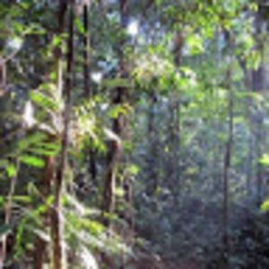 Meet your Posher, Gerald